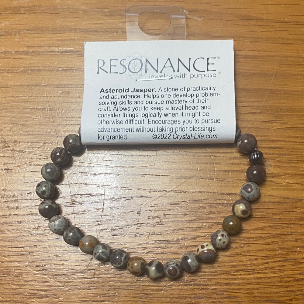 Resonance Asteroid Jasper Beaded Bracelet - Earth Tones
